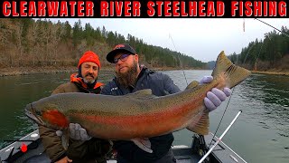 Clearwater River Steelhead Fishing [upl. by Hoopen]