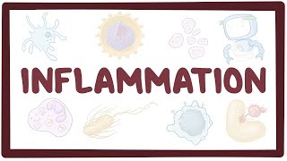 Inflammation  causes symptoms diagnosis treatment pathology [upl. by Gregg]