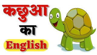 कछुआ को इंग्लिश में क्या कहते हैं  Kachhua Ko English Mein Kya Kahate Hain [upl. by Rexanne303]