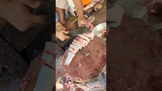 Amazing Rohu Fish Cutting Skills In Bangladesh Fish Market By Expert Cutter shorts [upl. by Silden]