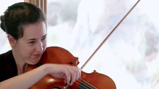 Vessela Stoyanova Reflections on a Mountain Lake for Two Violas [upl. by Meagher416]