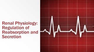 Renal Physiology Regulation of Reabsorption and Secretion [upl. by Wessling81]