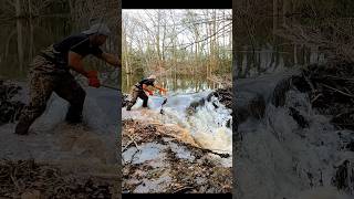 Extreme Water Flow  Beaver Dam Removal shorts beaverdam [upl. by Jadd]