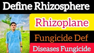 Define Rhizosphere  Rhizoplane  Fungicide Definition [upl. by Pironi513]