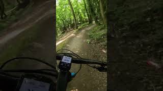 Danbury Mtb trail fun [upl. by Oiled]