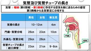 気管及び、気管チューブの長さ ・ 内径 ～No 2 三学会合同呼吸療法認定試験対策 シリーズ～ [upl. by Cleve]