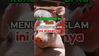 Kenapa Babi itu haram menurut Islam ini penjelasan nya feedshorts shortvideo video [upl. by Geithner328]