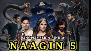 SINOPSIS SERIAL INDIA NAAGIN 5 [upl. by Hiltan273]