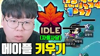 결국 출시된 메이플스토리 키우기 자동사냥방치모드까지 ㅁㅊㅋㅋ 테스터훈 [upl. by Sapphira]