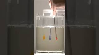 Laminar effect sciencefacts science knowledge facts [upl. by Aurel772]