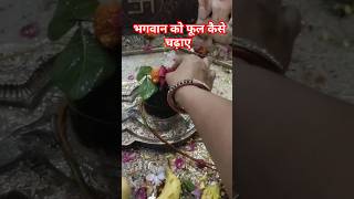 भगवान को फूल चढ़ाने के नियम shiv om ॐ नमशिवाय ginnigolumasti trendingshorts [upl. by Ennayrb]