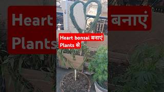 planterstand diy planter bonsai बनाए आसान तरीके से [upl. by Amling]