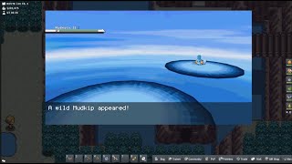 How to catch a mudkip in pokemmo [upl. by Asial]