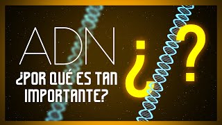 🧬El ADN Y Por Qué Es Tan IMPORTANTE Para Tu EXISTENCIA🧬 [upl. by Adriana]