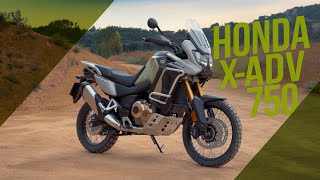 Honda XADV 750 –A Perfect Blend of Adventure and City Riding HondaXADV750 HondaXADV bike rider [upl. by Avek730]