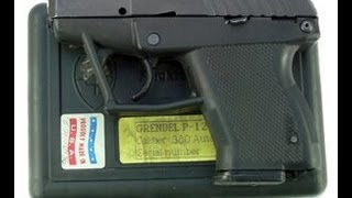 Grendel P12 380 Pistol [upl. by Buchheim173]