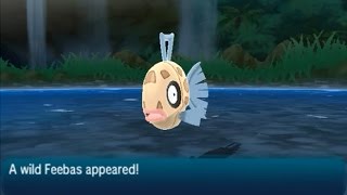 How to Catch Feebas  Pokémon Ultra Sun amp Moon [upl. by Enohs]