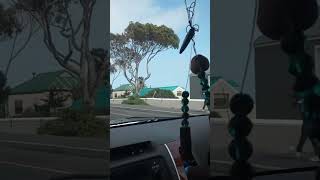 Uber  part 2 Kommetjie CapeTown SA [upl. by Ecilahs]