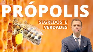 🐝🍯 PRÓPOLIS Para que serve Dr Fernando Lemos  Planeta Intestino [upl. by Veronique317]