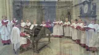 Truro Cathedral Choristers perform Paul Mealors Wherever you are [upl. by Ahsienel]