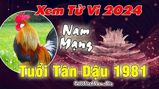 Xem tử vi tuổi Tân Dậu 1981 năm 2024 nam mạng đầy đủ và chia tiết nhất [upl. by Annohs]