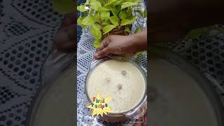 Easy Firni recipe food dessert firnirecipe sweet viralshorts [upl. by Huskamp]