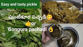 Gongura pachadi recipe  నోరూరించే పుంటీకూర పచ్చడి [upl. by Yarrum]