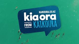 Destination Kaikoura in 90 secs [upl. by Ahsiri928]