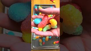 Freeze drying every candy [upl. by Joycelin]