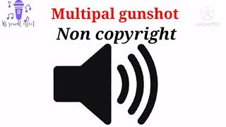 multiple gunshot sound effect [upl. by Serge130]