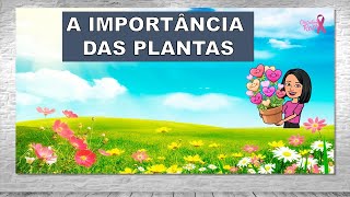 CONHECENDO AS PLANTAS  EDUCAÇÃO INFANTIL [upl. by Eitak]