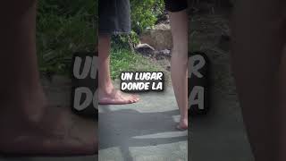 Caminar descalzo sin zapatos el sueño de vivir en Australia sin quedar sucio 🦶￼￼🤔 Shorts [upl. by Korella]