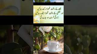 The best quotes in Urdu🌹shortvideo aqwalezareen shorts allahuakbar beautiful viralvideo [upl. by Nob959]