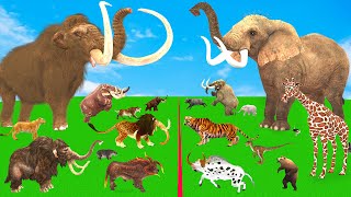 Modern Mammals vs Cenozoic Beasts Size Comparison Mammoth TRex Vs Elephant Lion Animal Epic Battle [upl. by Georg]