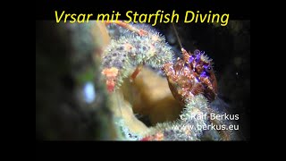 Vrsar mit Starfish Diving Center [upl. by Brnaba]