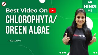 Chlorophyta I Green Algae l Chlorophyceae I Kingdom Protista [upl. by Adora]