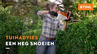 Een heg snoeien  STIHL Tuinadvies [upl. by Portie]