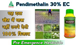 Pendimethalin 30 EC  यह दवा खेत में घास नहीं होने देगी  Pre Emergence Herbicide Dhanuka Dhanutop [upl. by Katonah302]