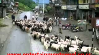 Dashain Nai Ho Ki Yogeshwor Amatya Full Song [upl. by Ittak]