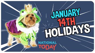 TOP 3 HOLIDAYS to CELEBRATE on January 14th  National Today [upl. by Cherianne]