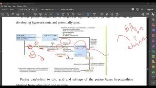 L91 Purine Catabolism and the Salvage Enzyme HGPRT [upl. by Jacquenetta]