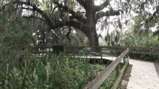 Preserves of Manatee County featuring Emerson Point Preserve Manatee County Government [upl. by Enailuj171]