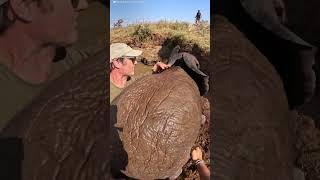 Baby Elephant And Mom Are Stuck In A Well Full Of Water  The Dodo [upl. by Ashla]