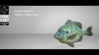 Fishing Planet  Neherrin River  Trophy  Redear Sunfish  Float [upl. by Candice]