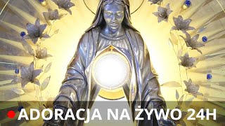 EWTN Polska  Adoracja z Niepokalanowa [upl. by Lorette497]