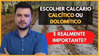 Calcário Calcítico X Dolimítico é realmente importante essa escolha [upl. by Mir]