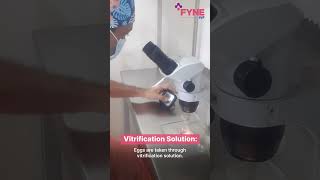 Oocyte Vitrification Egg Freezing Process  Fyne IVF [upl. by Eylsel483]