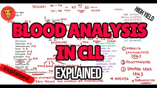 Blood analysis in CHRONIC LYMPHOCYTIC LEUKEMIA Explained Diagnostic algorithm [upl. by Dyana]