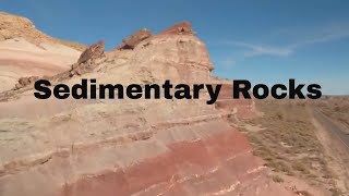 Sedimentary Rock Examples [upl. by Orban]