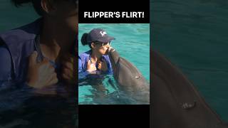 Can Dolphins Flirt Dive Into Their Playful World shorts [upl. by Airbas]